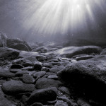 Pic 04